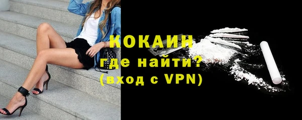 мет Елизово
