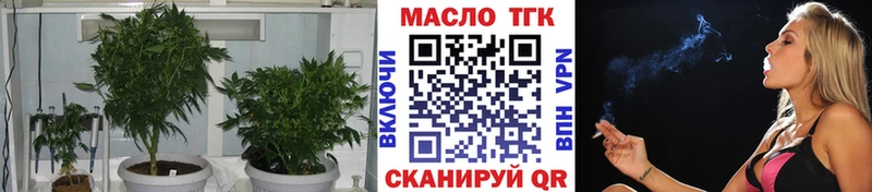 Купить  Шацк  Дистиллят ТГК гашишное масло 