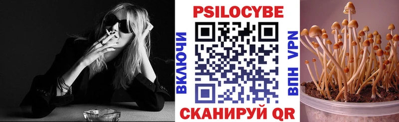 Купить закладки  Шацк  Галлюциногенные грибы ЛСД 